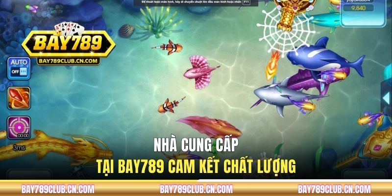 Nhà cung cấp tại BAY789 cam kết chất lượng